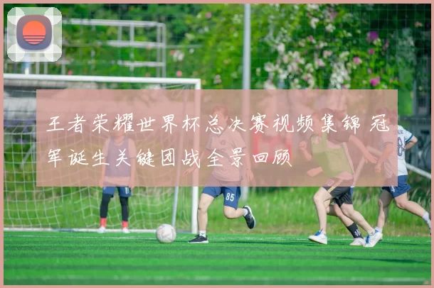 王者荣耀世界杯总决赛视频集锦 冠军诞生关键团战全景回顾