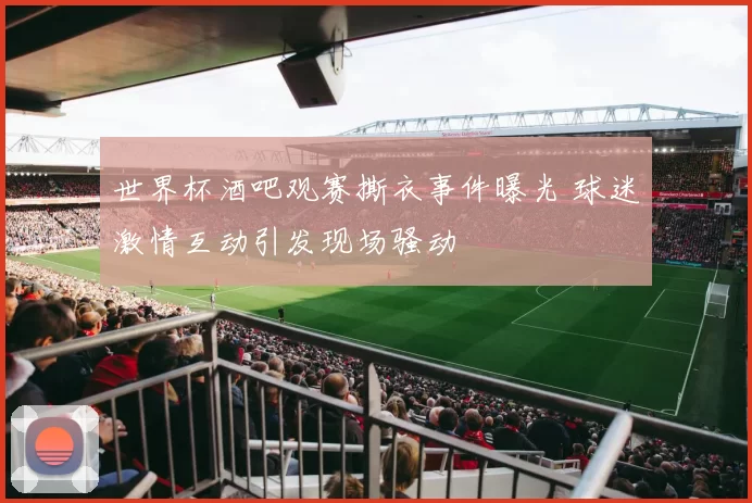 世界杯酒吧观赛撕衣事件曝光 球迷激情互动引发现场骚动