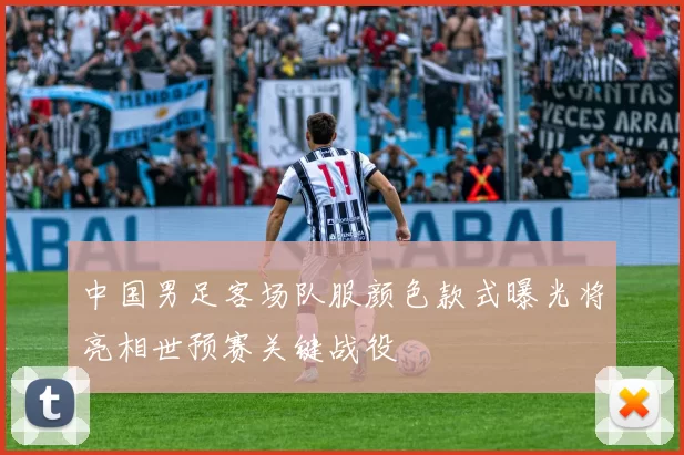 中国男足客场队服颜色款式曝光将亮相世预赛关键战役
