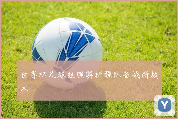 世界杯足球经理解析强队备战新战术