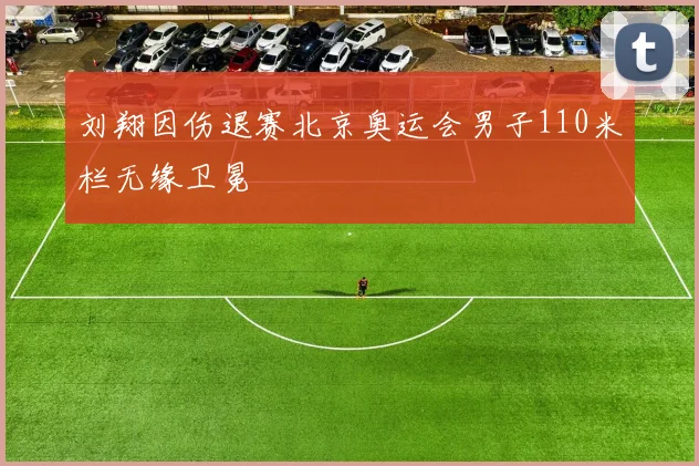 刘翔因伤退赛北京奥运会男子110米栏无缘卫冕