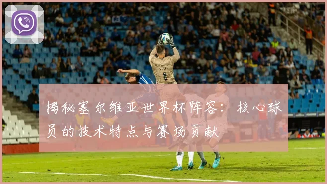 揭秘塞尔维亚世界杯阵容：核心球员的技术特点与赛场贡献
