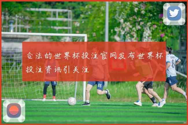 合法的世界杯投注官网发布世界杯投注资讯引关注