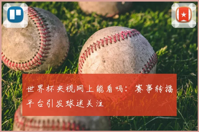 世界杯央视网上能看吗:赛事转播平台引发球迷关注