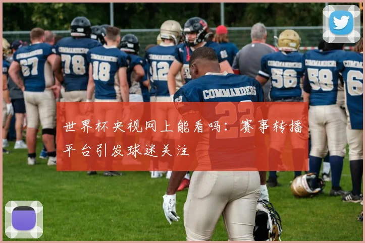 世界杯央视网上能看吗：赛事转播平台引发球迷关注