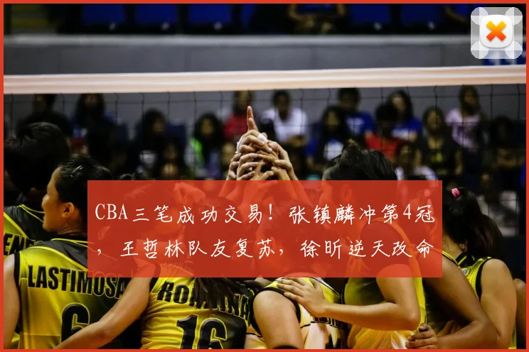 CBA三笔成功交易！张镇麟冲第4冠，王哲林队友复苏，徐昕逆天改命_1