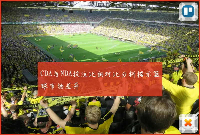 CBA与NBA投注比例对比分析揭示篮球市场差异
