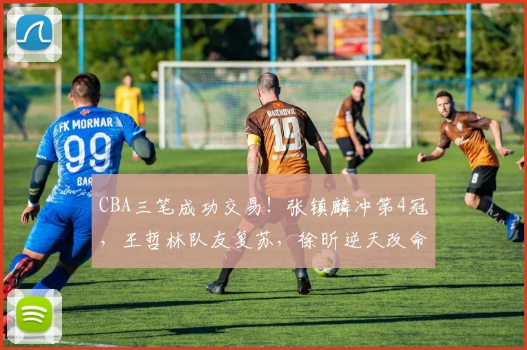 CBA三笔成功交易!张镇麟冲第4冠,王哲林队友复苏,徐昕逆天改命_1