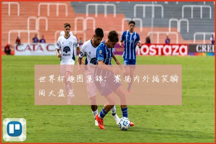 世界杯趣图集锦:赛场内外搞笑瞬间大盘点