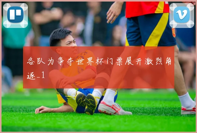 各队为争夺世界杯门票展开激烈角逐_1